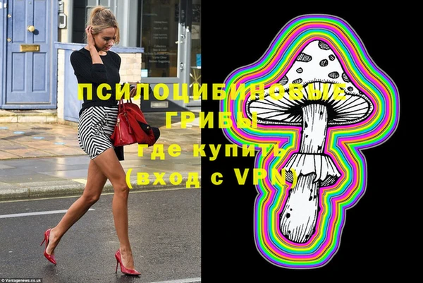 соль ск Мегион