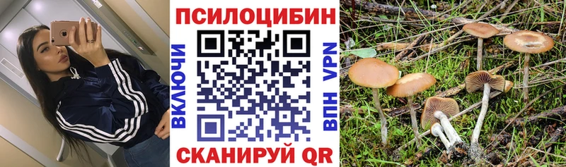 как найти   shop какой сайт  Галлюциногенные грибы прущие грибы  Новоузенск 