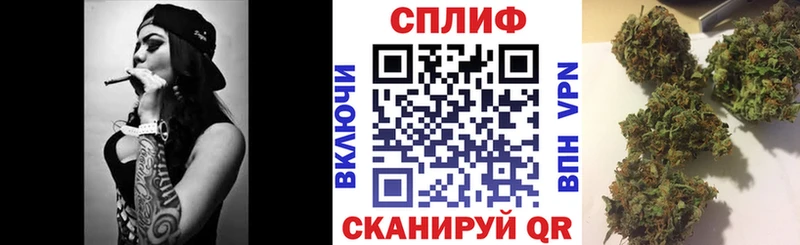 Бошки Шишки план  мориарти Telegram  Новоузенск 